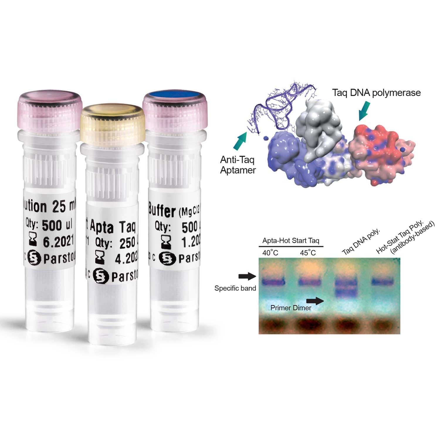 آنزیم DNA پلیمراز هات استارت Taq – آپتا — تصویر ۴