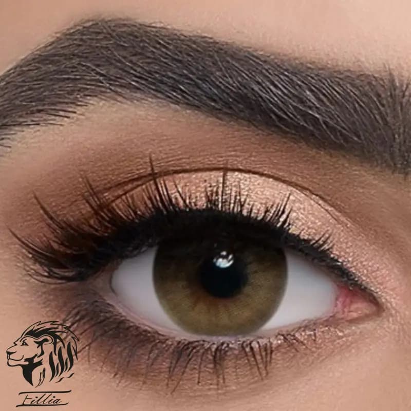 لنز عسلی خاکی دهب — تصویر ۳