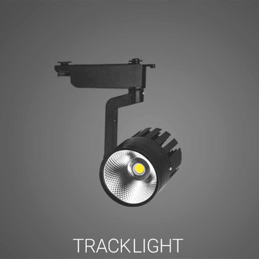 چراغ ریلی 30 وات LED COB مشکی پارس شعاع توس