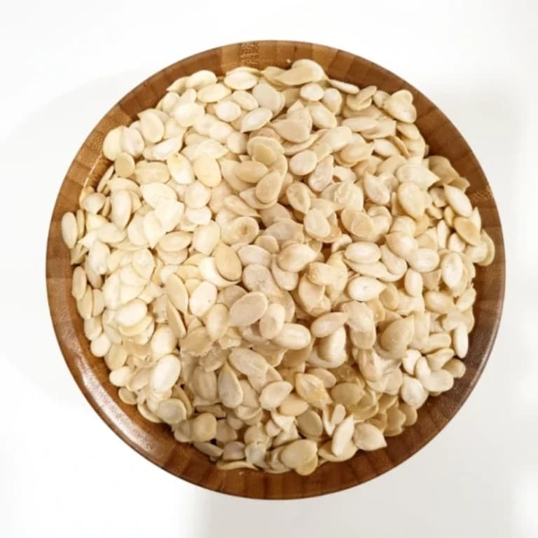 مغز تخمه هندوانه ۵۰۰ گرمی — تصویر ۲