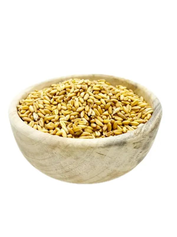 گندم با پوست مرغی