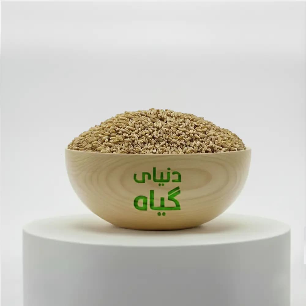 گندم ارگانیک دیم