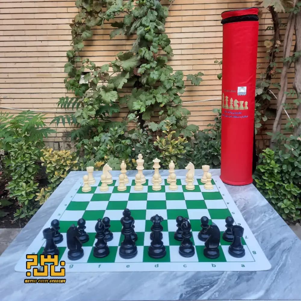 صفحه و مهره استاندارد فدراسیونی پوریا به همراه کیف استوانه ای کد B