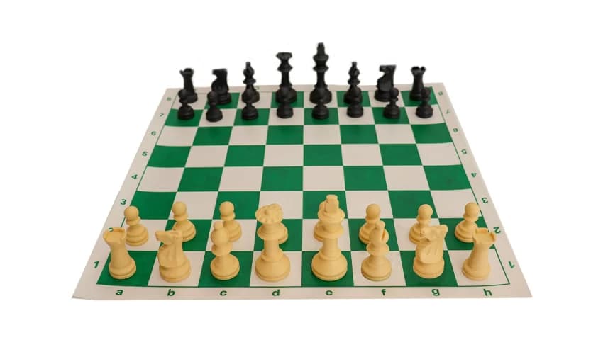 صفحه و مهره استاندارد فدراسیونی پوریا به همراه کیف استوانه ای کد A — تصویر ۸