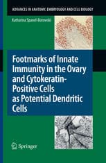 Footmarks of Innate Immunity in the Ovary and Cytokeratin-Positive Cells as Potential Dendritic Cells — تصویر ۲