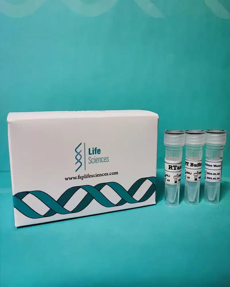 کیت سنتز cDNA synthesis kit | cDNA