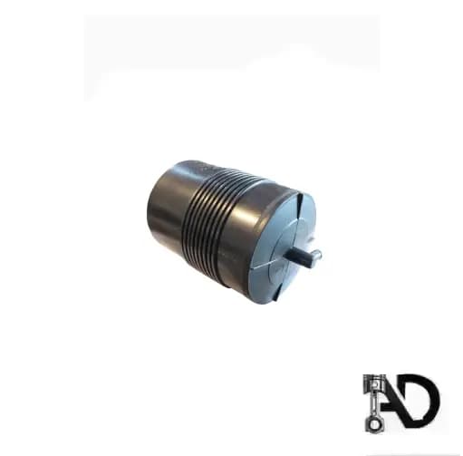 کنیستر بنزین پژو ۴۰۵