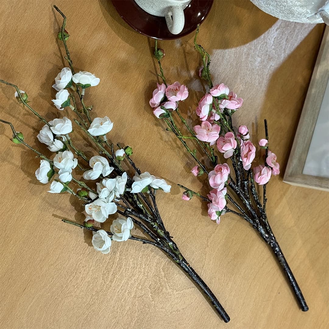 شاخه گل شکوفه ژاپنی — تصویر ۶