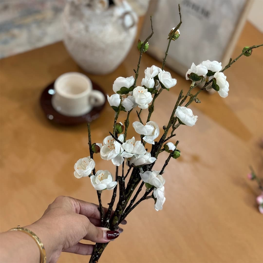 شاخه گل شکوفه ژاپنی — تصویر ۵