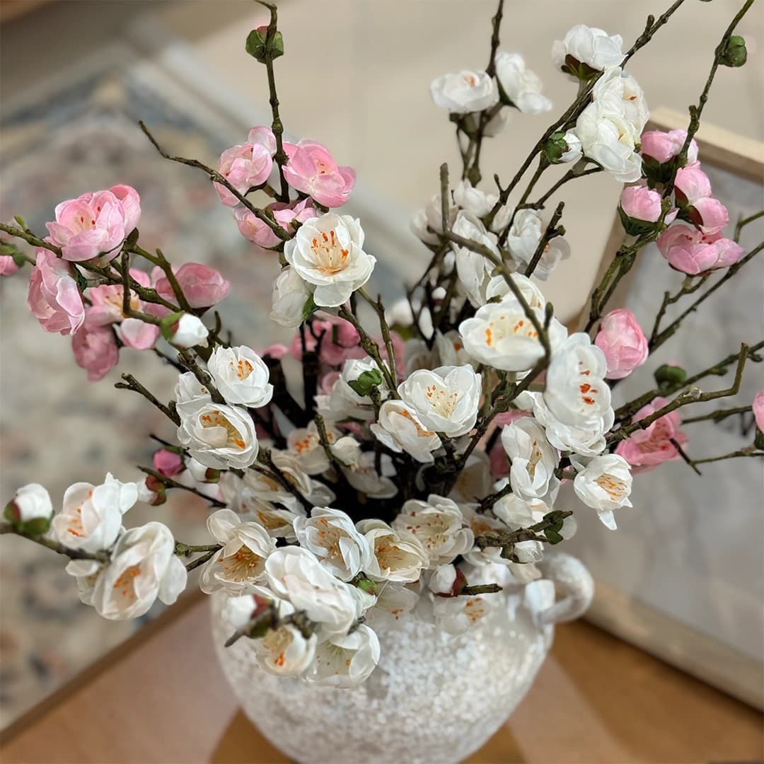 شاخه گل شکوفه ژاپنی — تصویر ۳