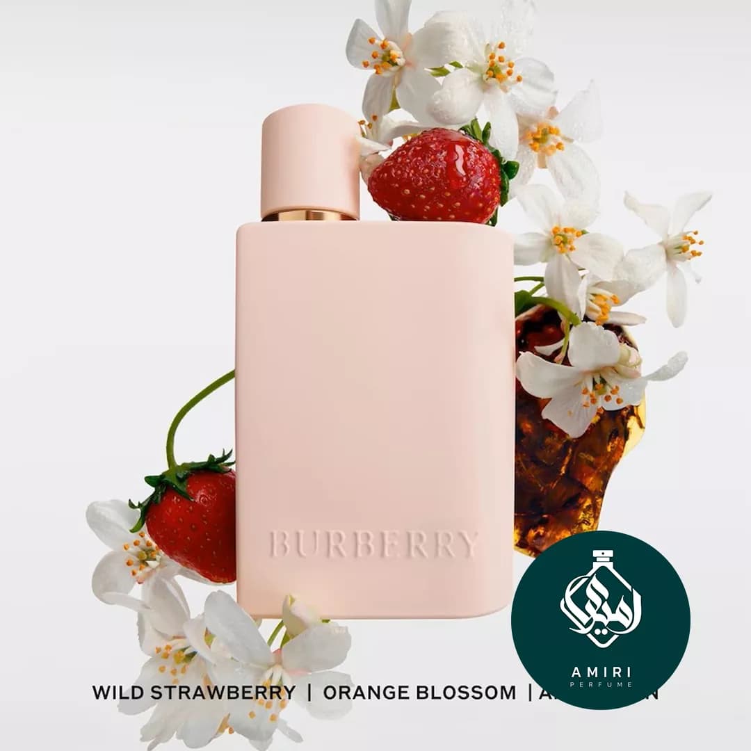 عطر ادکلن باربری هر ادو پرفیوم اینتنس | Burberry Her Eau de Parfum Intense — تصویر ۴