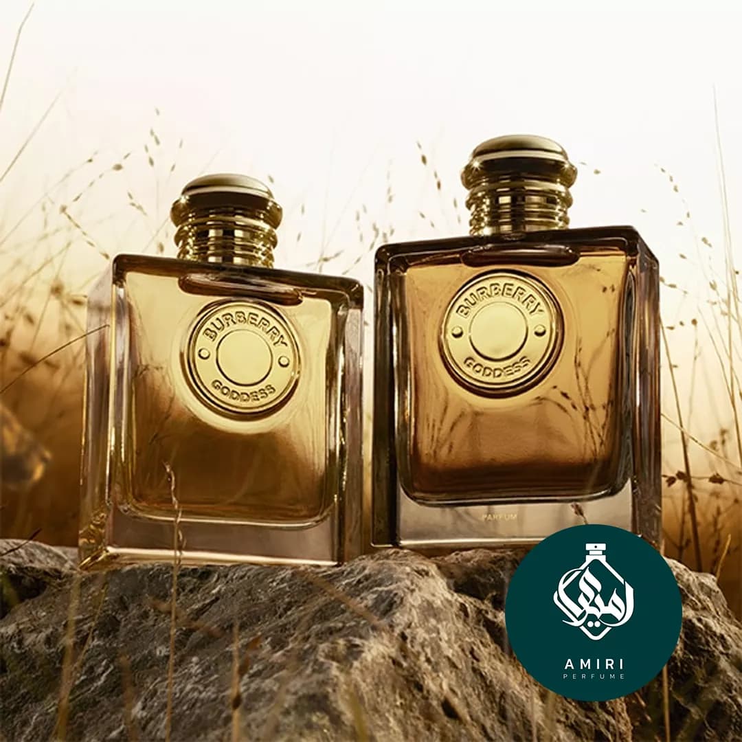عطر ادکلن باربری گادس پارفوم | Burberry Goddess — تصویر ۴