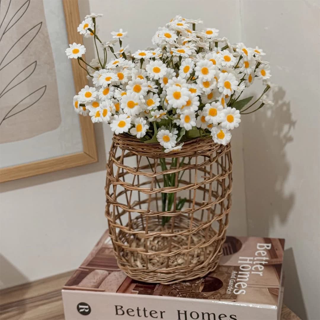 بوته گل بابونه — تصویر ۳