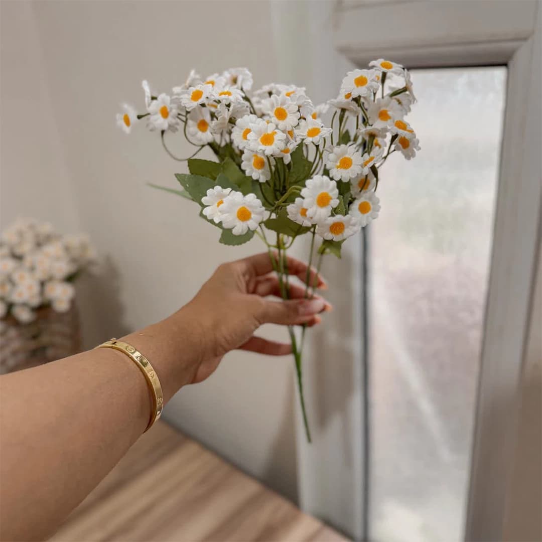 بوته گل بابونه — تصویر ۴