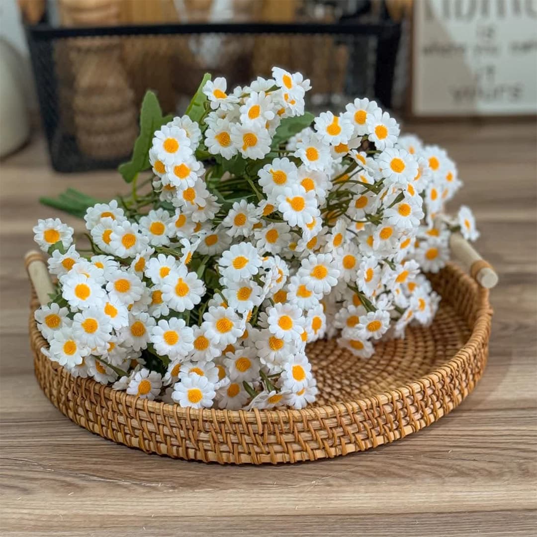 بوته گل بابونه