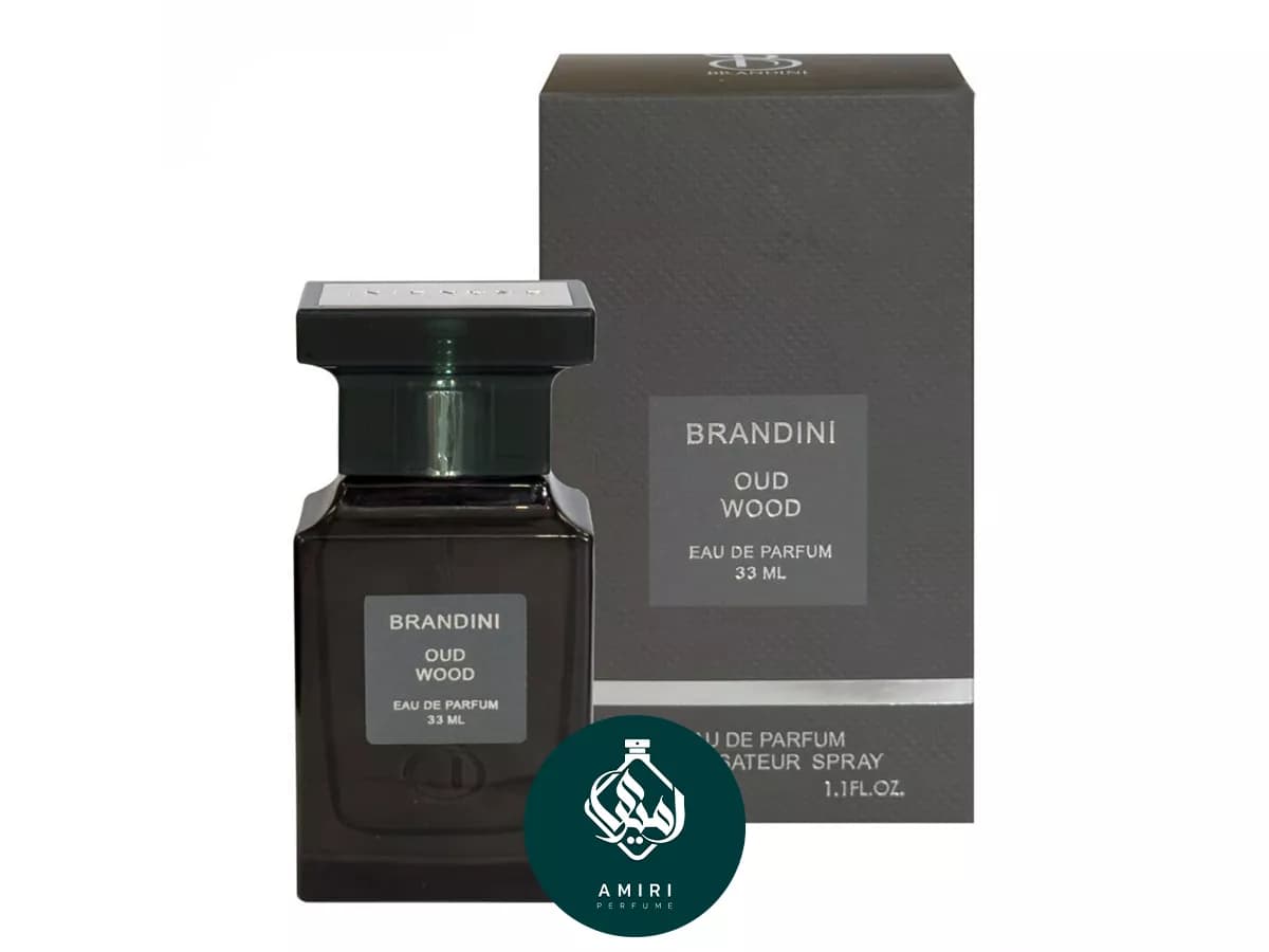 عطر ادکلن برندینی تام فورد عود وود | Oud Wood Edp BRANDINI — تصویر ۳