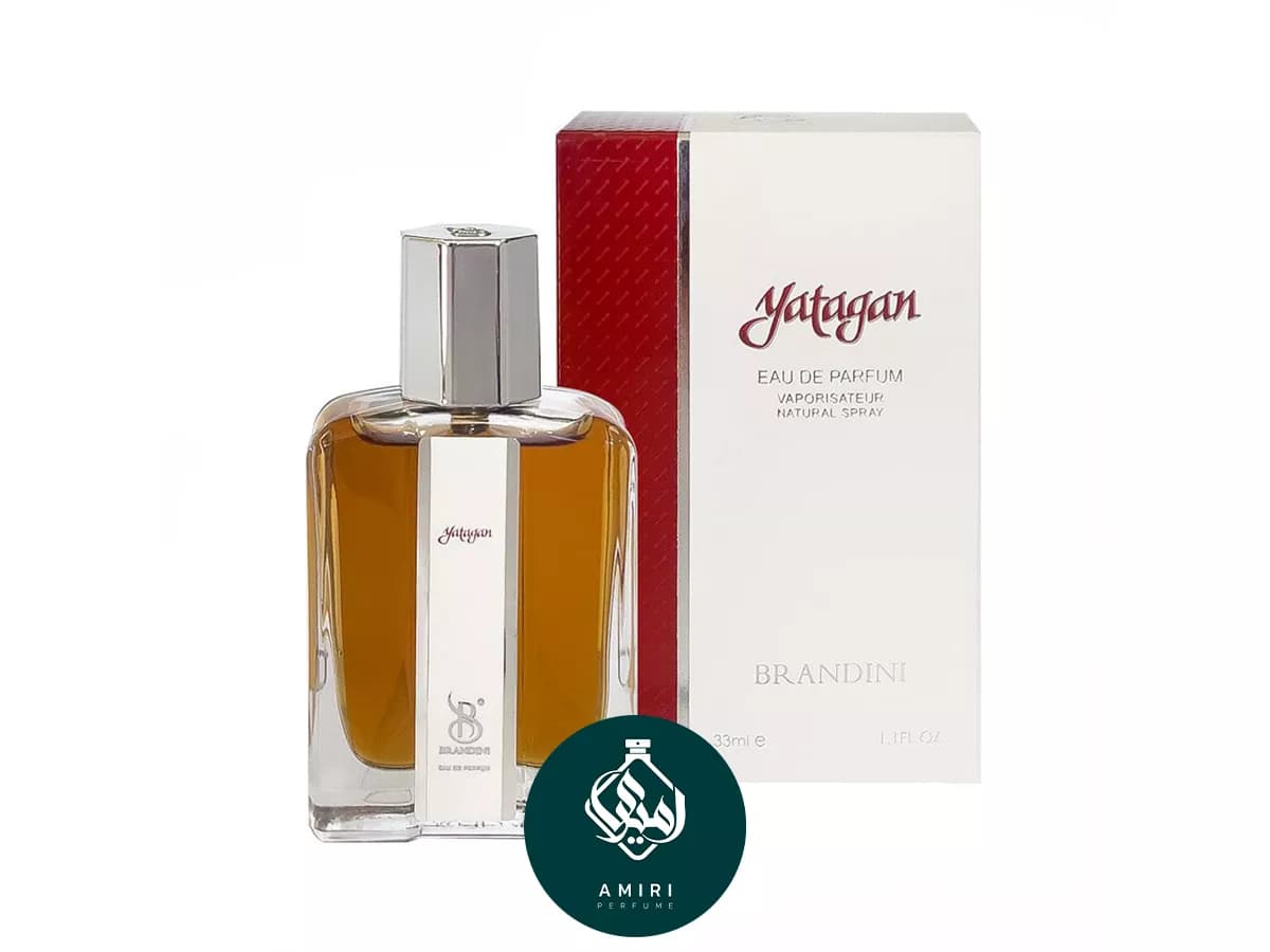 عطر ادکلن برندینی کرون یاتاقان | Yatagan Edp BRANDINI — تصویر ۳