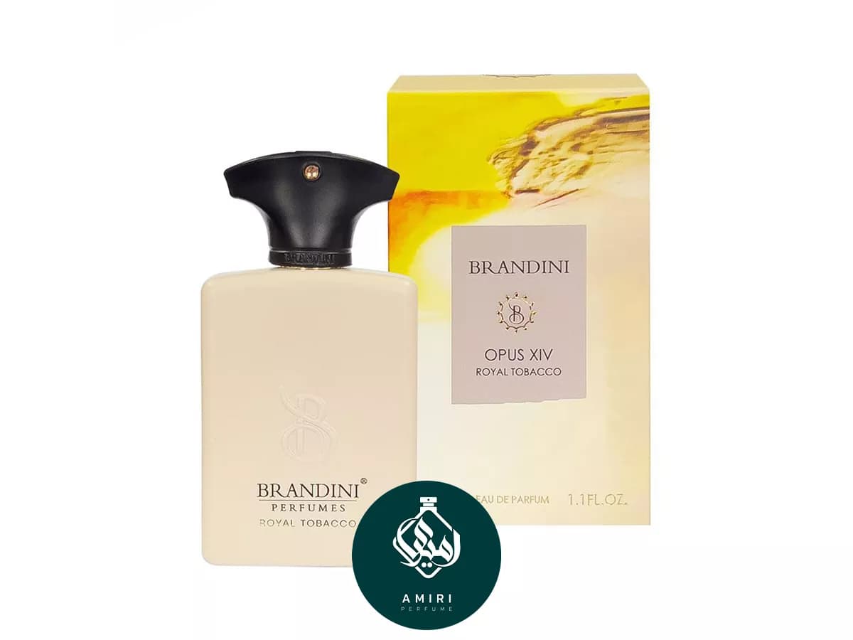 عطر ادکلن برندینی آمواج رویال توباکو | Opus XIV Royal Tobacco Edp BRANDINI — تصویر ۳