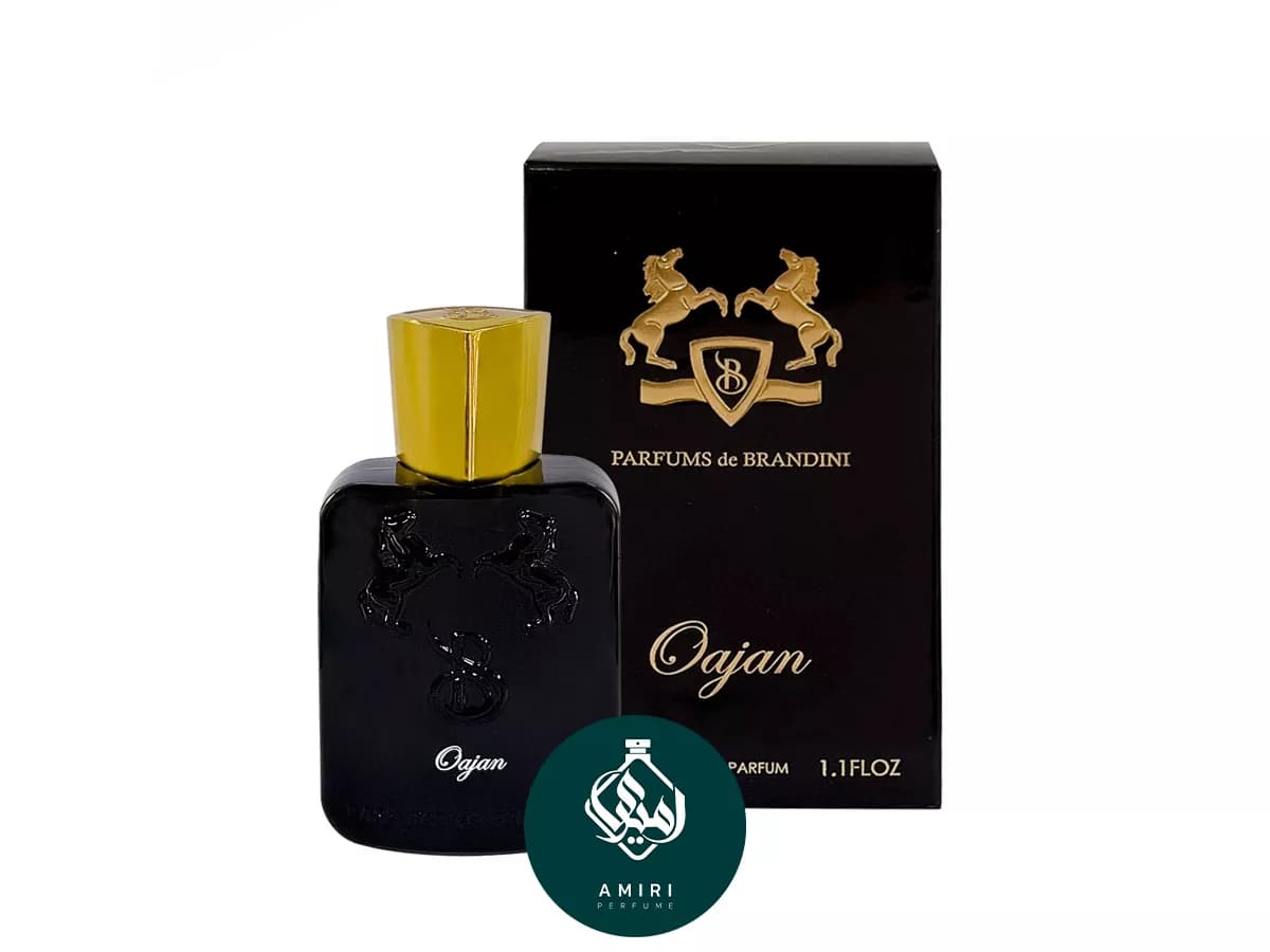 عطر ادکلن برندینی مارلی اوژان | Brandini Oajan — تصویر ۳