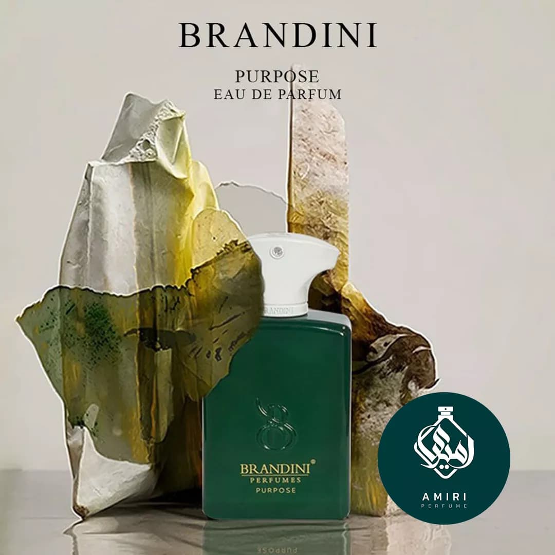 عطر ادکلن برندینی آمواج پرپس |‌ Purpose Eau de Parfum for Women and Men BRANDINI — تصویر ۴