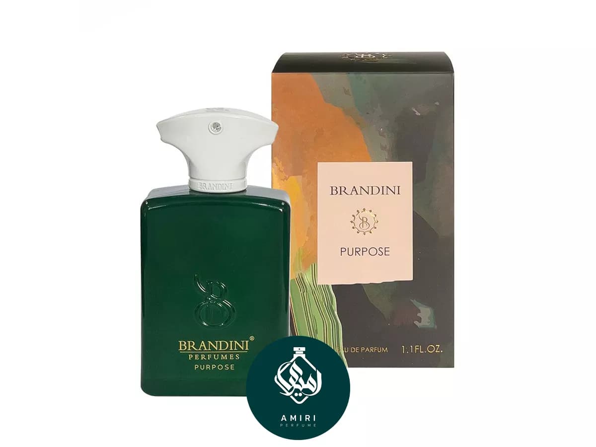 عطر ادکلن برندینی آمواج پرپس |‌ Purpose Eau de Parfum for Women and Men BRANDINI — تصویر ۳