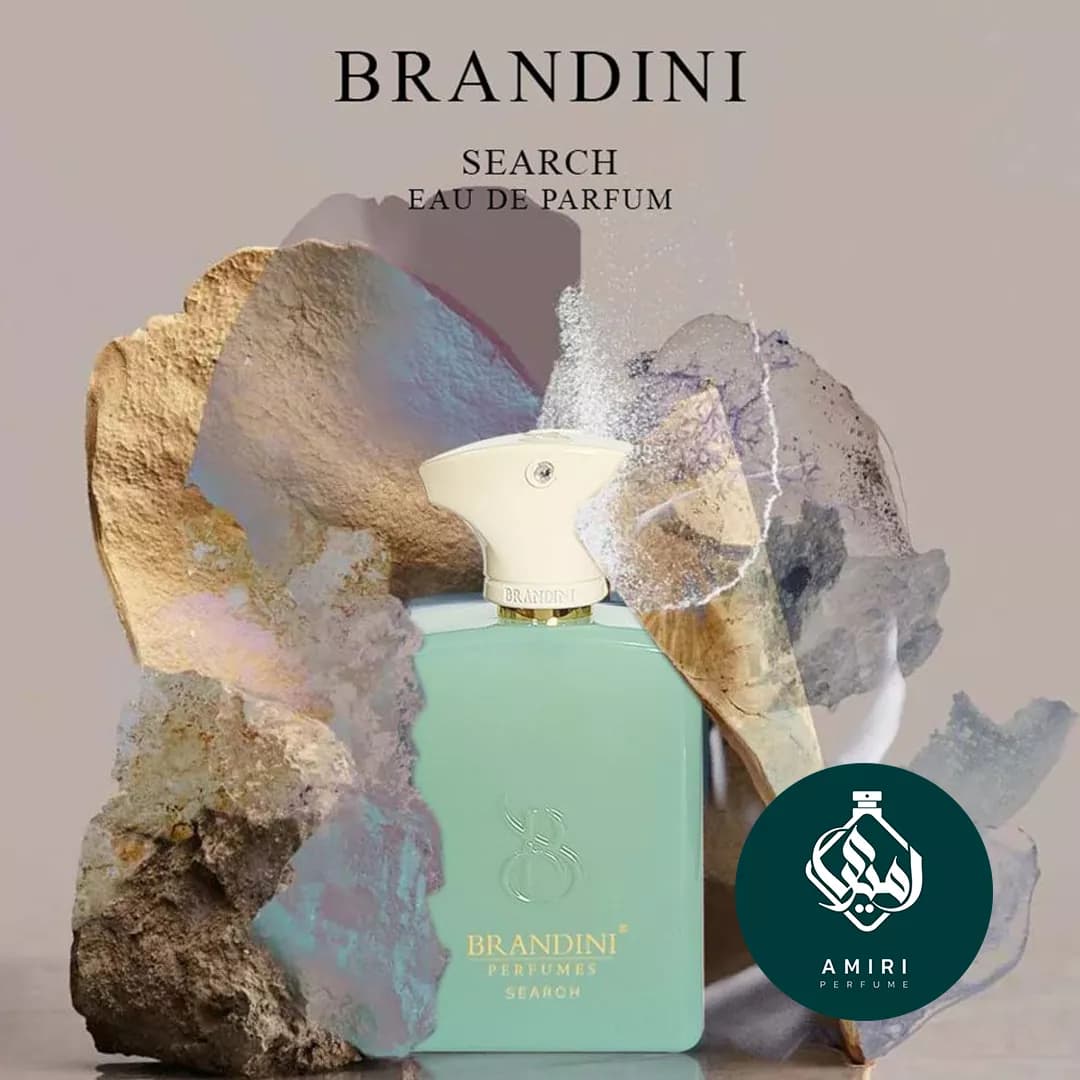 عطر ادکلن برندینی آمواج سرچ | Search Edp BRANDINI — تصویر ۴