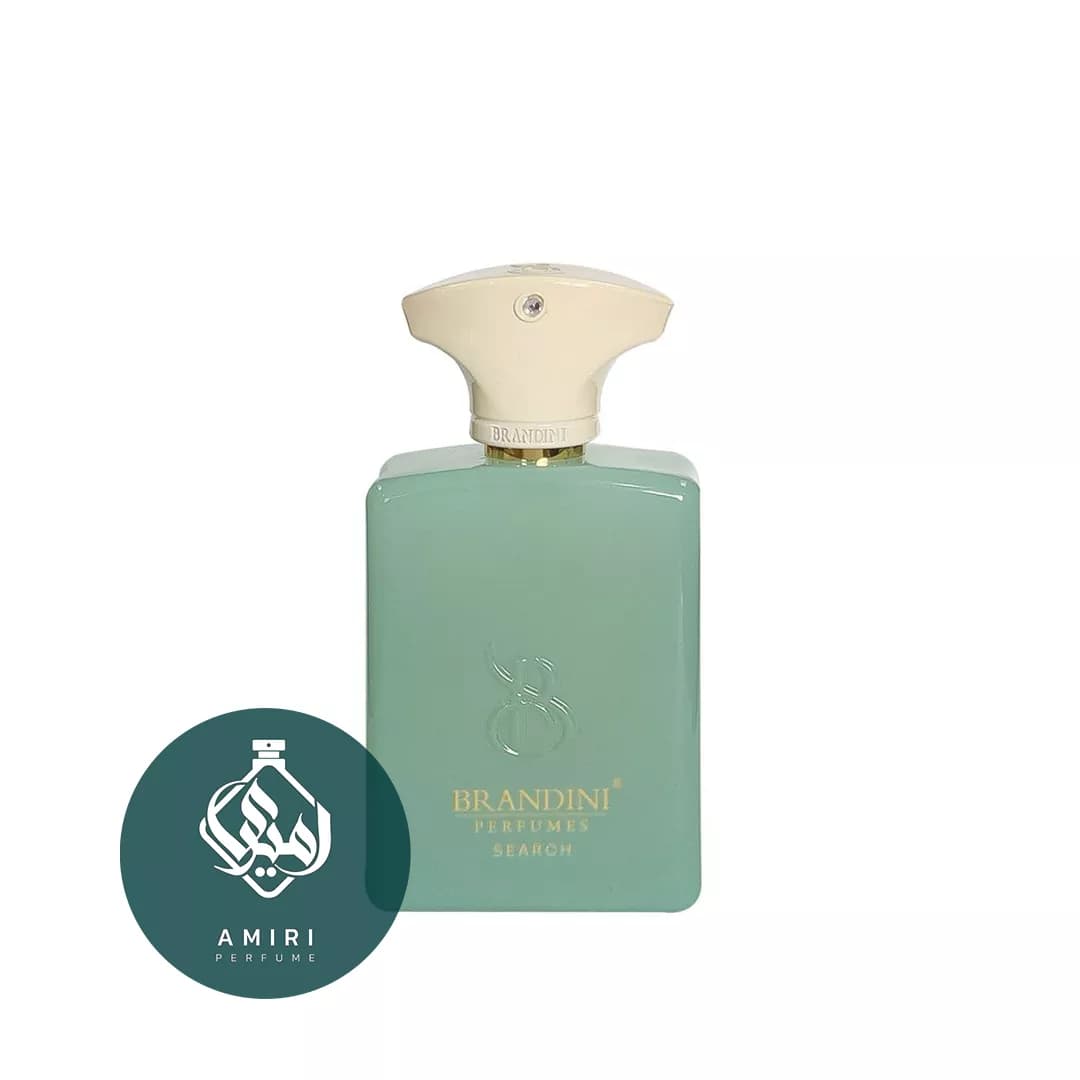 عطر ادکلن برندینی آمواج سرچ | Search Edp BRANDINI