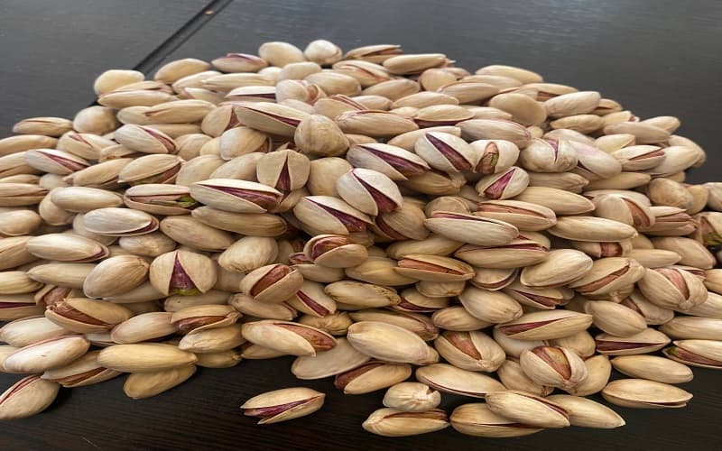 پسته احمدآقایی براق — تصویر ۲