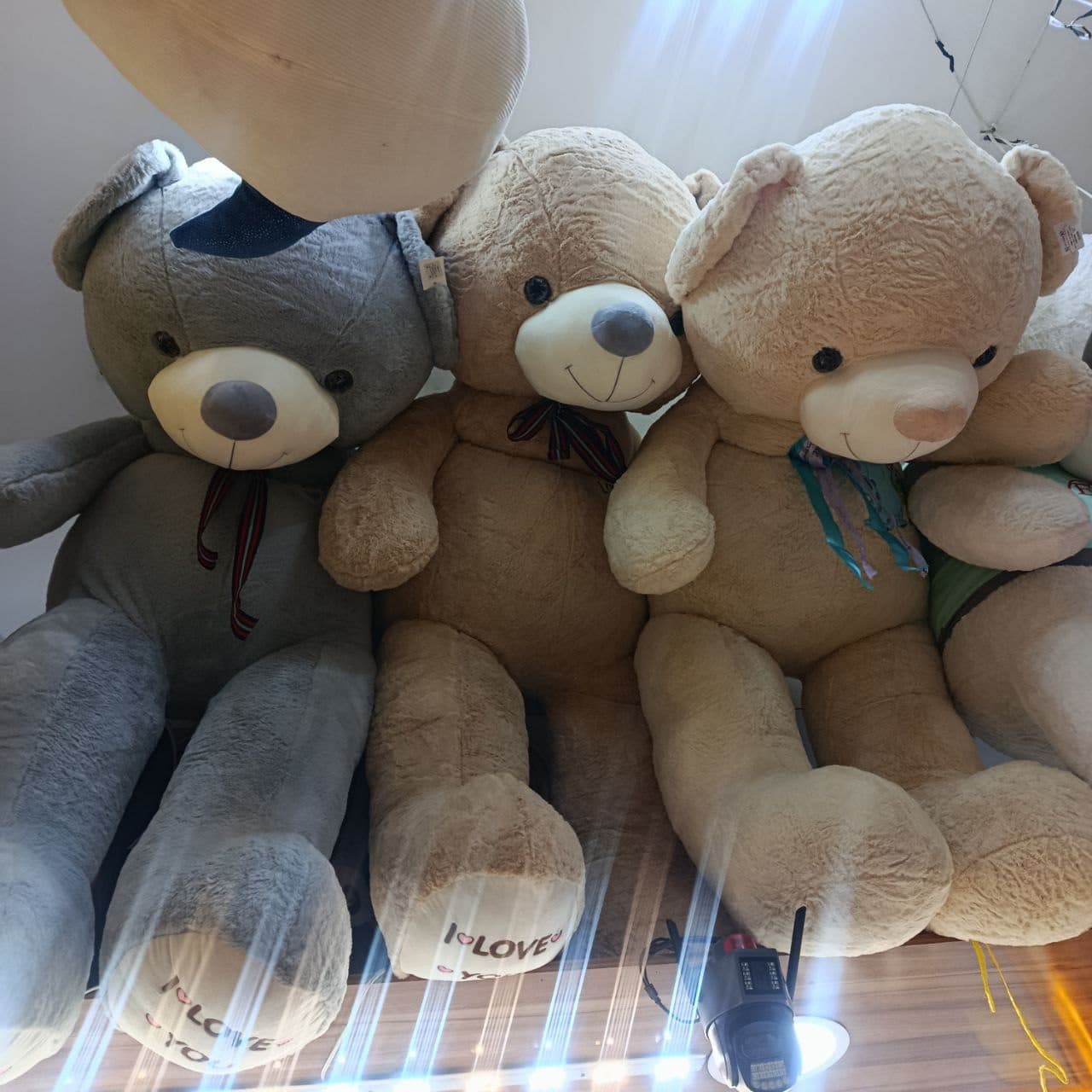خرس 220 سانتی — تصویر ۳