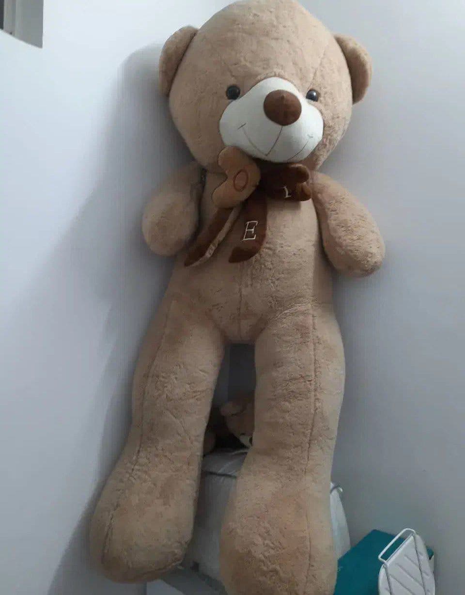 خرس 220 سانتی — تصویر ۵