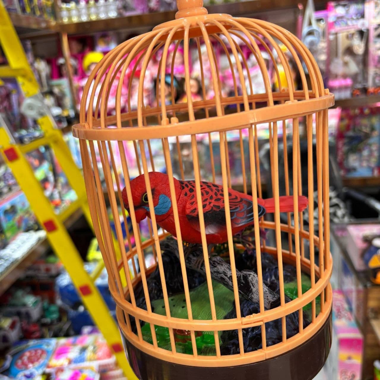 طوطی در قفس