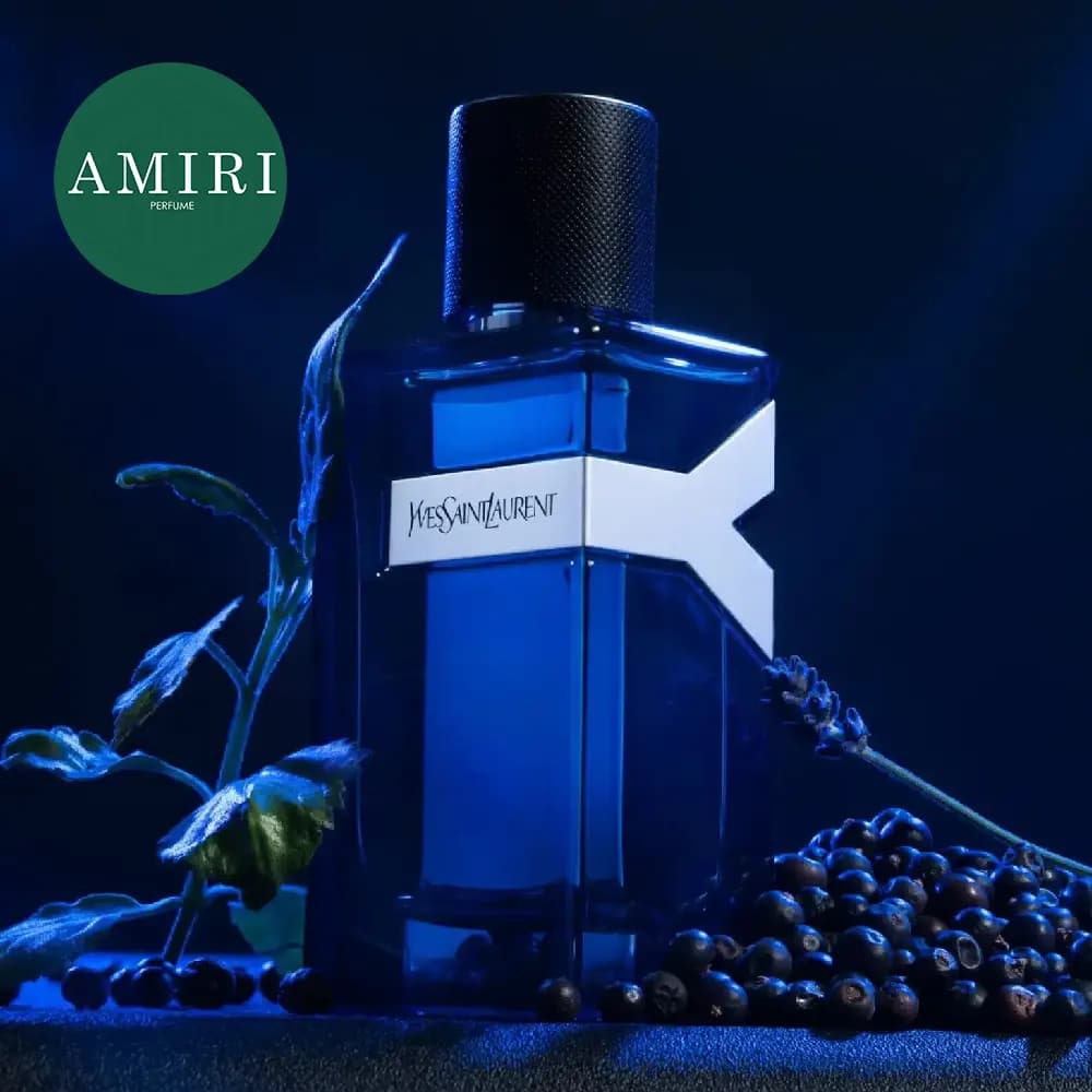 عطر ادکلن ایفسن لوران وای ادوپرفیوم اینتنس | Yves Saint Laurent Y Eau de Parfum Intense — تصویر ۳