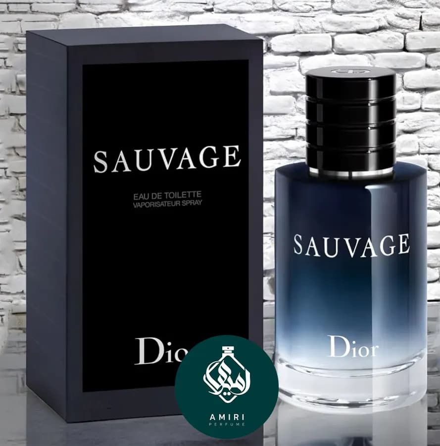 عطر ادکلن دیور ساواج | dior sauvage eau de toilette — تصویر ۴