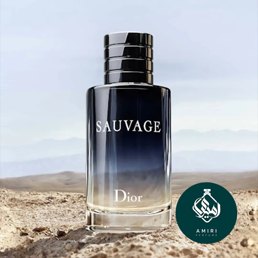 عطر ادکلن دیور ساواج | dior sauvage eau de toilette — تصویر ۳