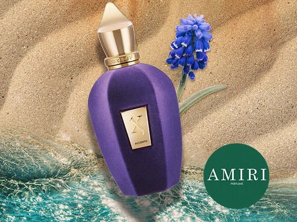 عطر ادکلن زرجوف اکنتو | Xerjoff Accento — تصویر ۳