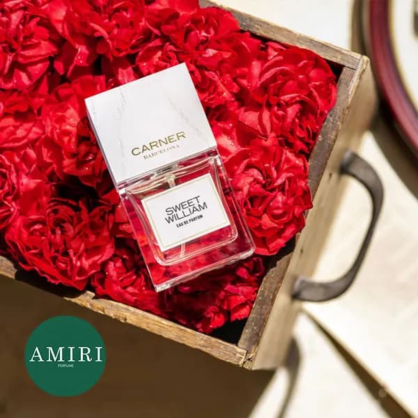 عطر ادکلن کارنر بارسلونا سوییت ویلیام | Carner Barcelona Sweet William — تصویر ۴
