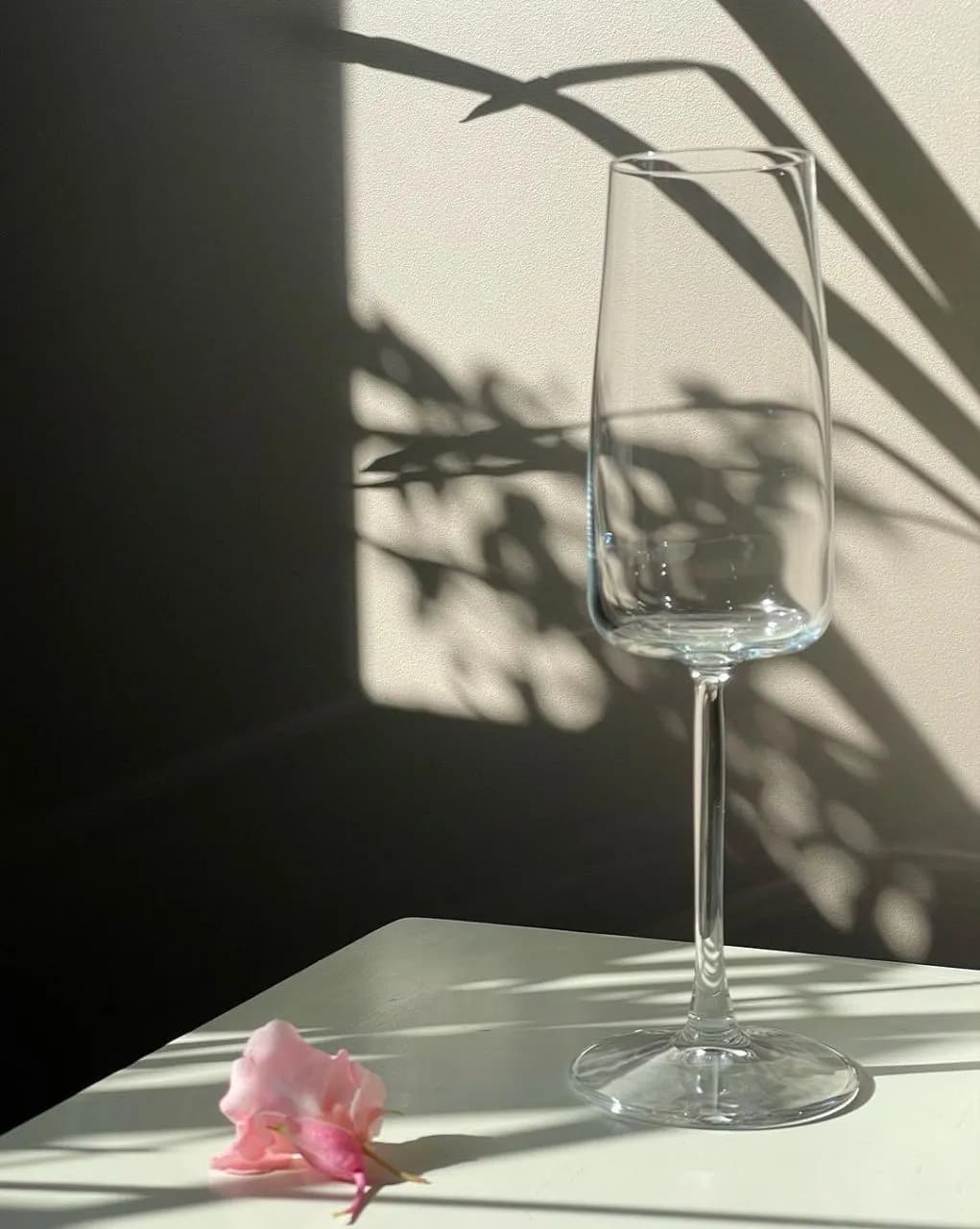گیلاس باریک آلگرا پاشاباغچه ALLEGRA-440079 — تصویر ۵