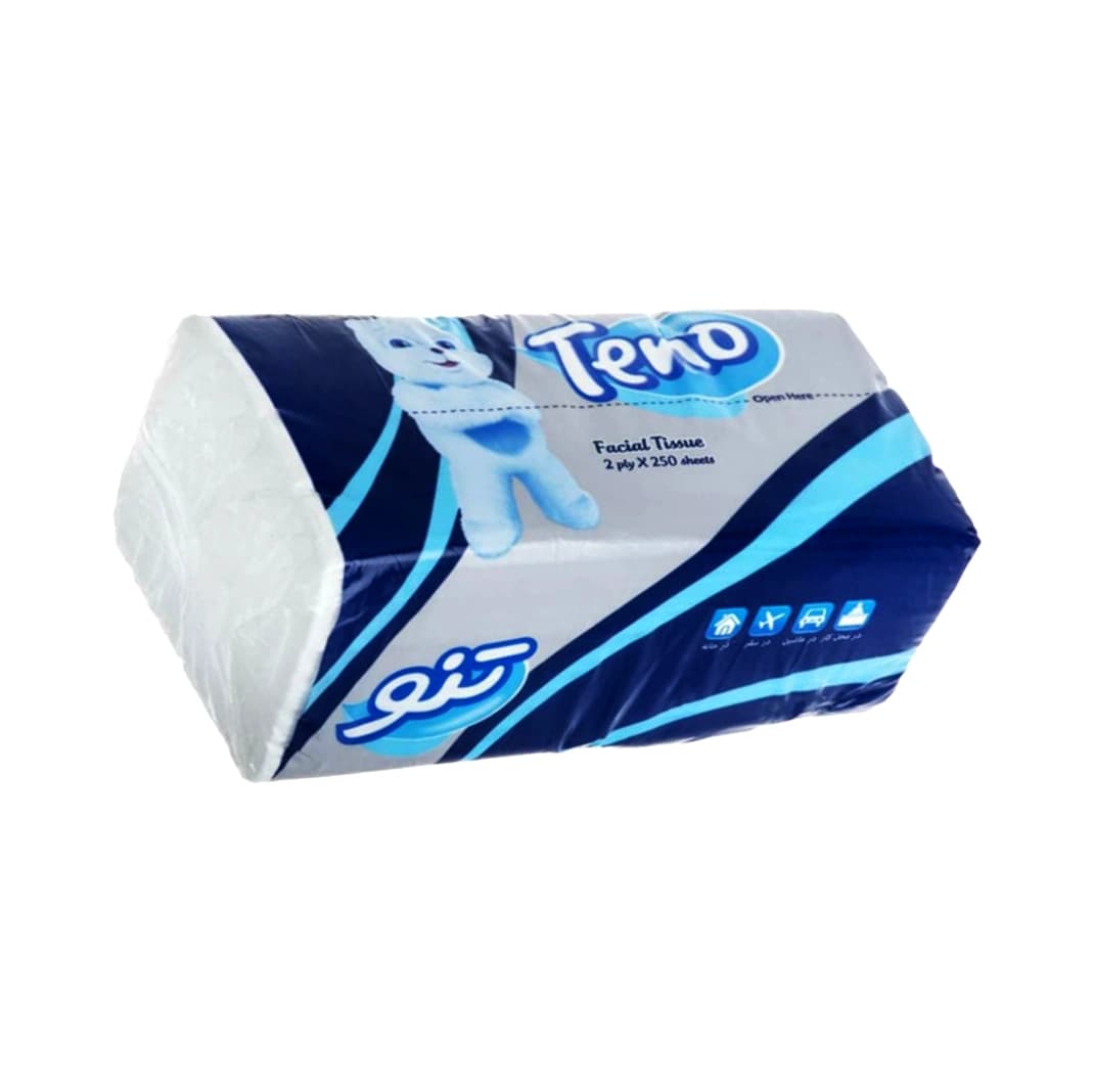 دستمال کاغذی 250 برگ تنو مدل اقتصادی بسته یک عددی