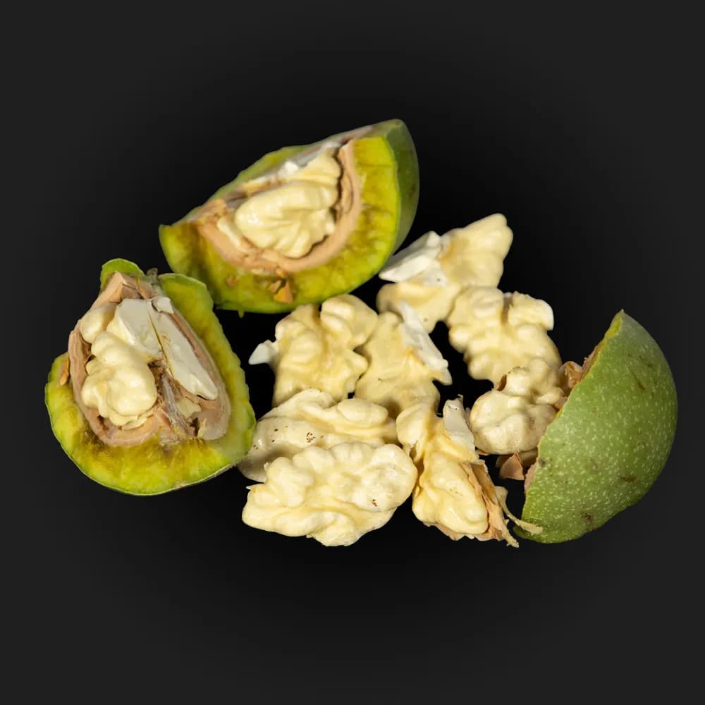 گردو تازه با پوست سبز محصول قزوین — تصویر ۳