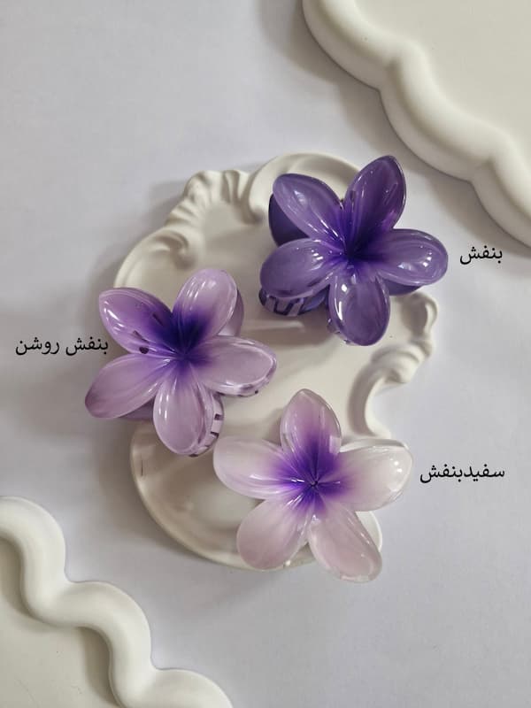 کلیپس پلومریای بنفش – کد ۵۳۳ — تصویر ۳