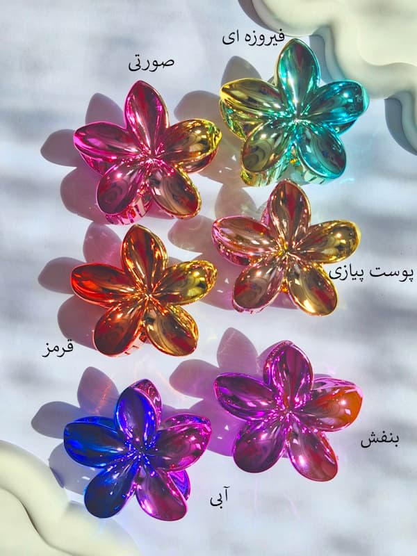 پلومریای هلوگرامی – کد ۵۳۹ — تصویر ۶