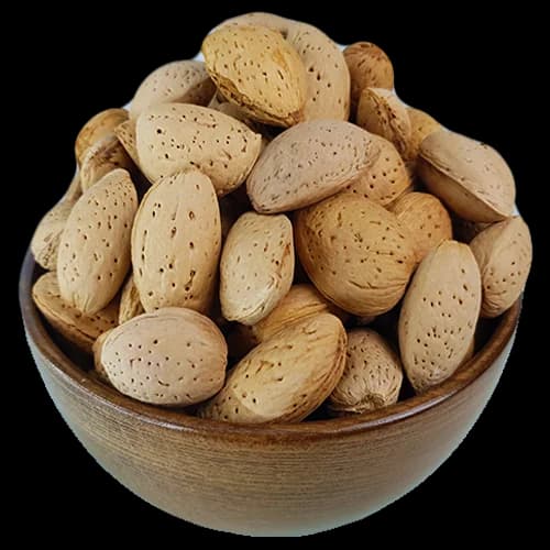 بادام سنگی تلخ (درختی) محصول قزوین