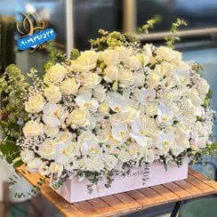 باکس گل رز هلندی ۵۰ شاخه همرا ارکیده