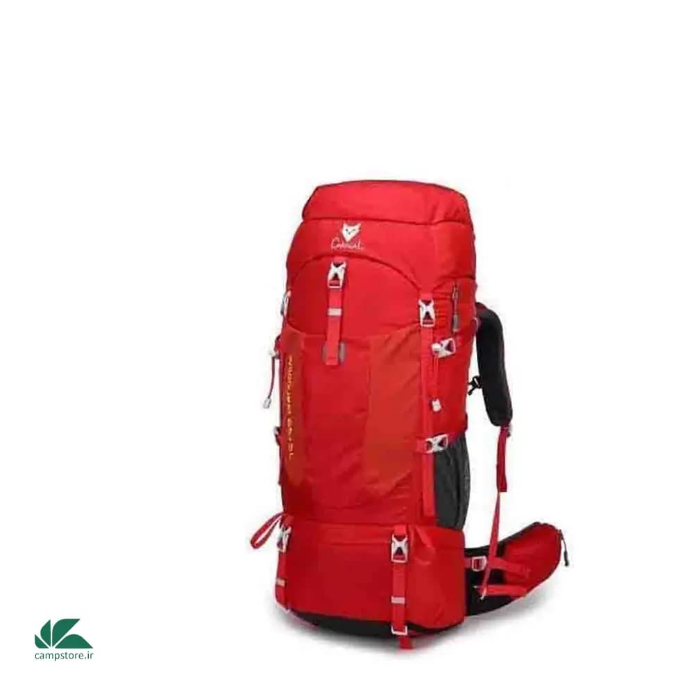 کوله پشتی کاراکال 65+5 لیتری مدل WILDGUEST — تصویر ۹