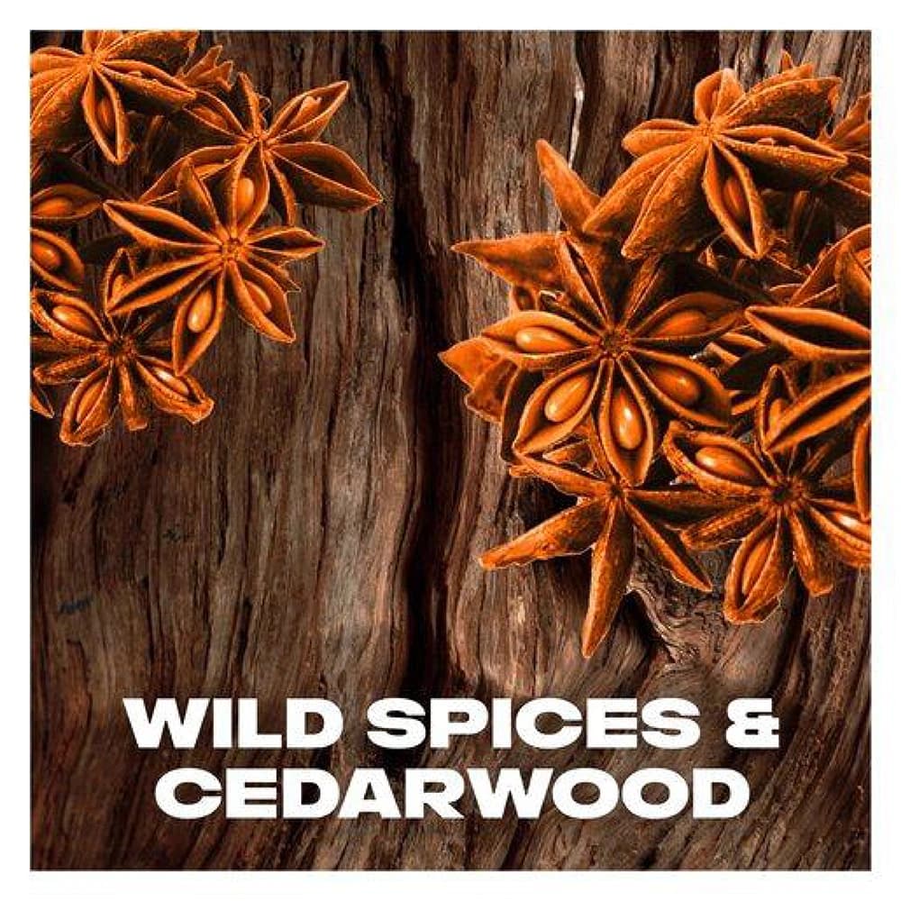 اسپری ضدعرق Axe Wild Spice – رایحه ادویه‌جات و چوب سدر — تصویر ۳