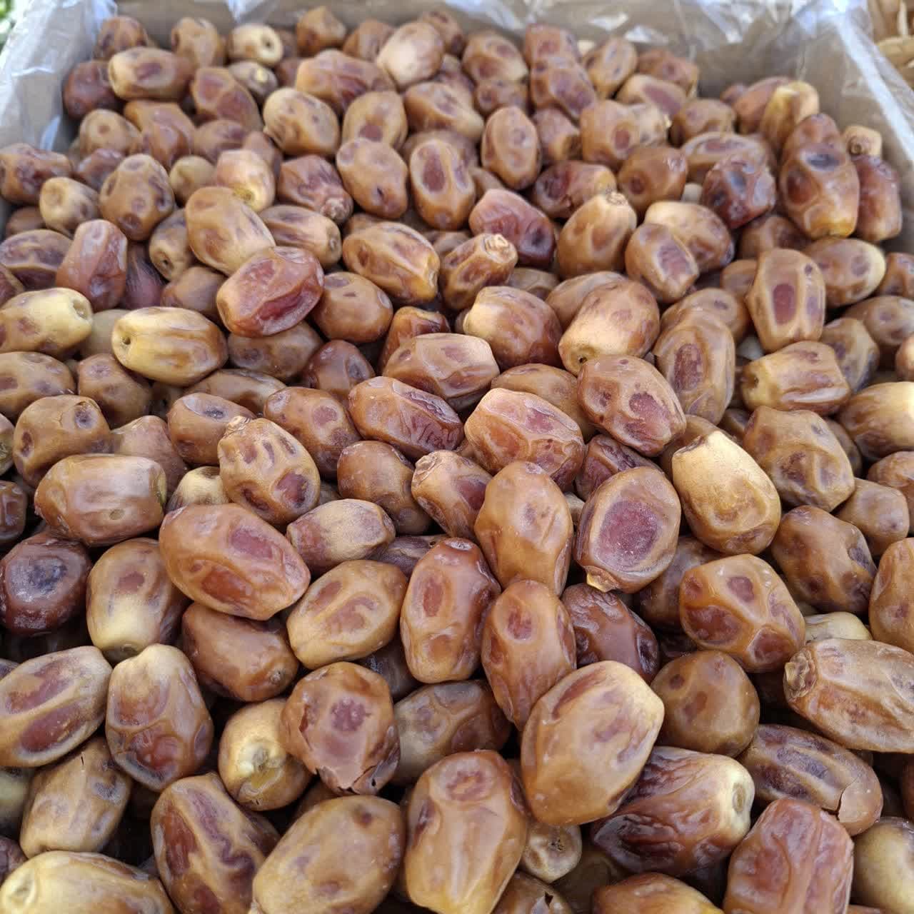 خرما زاهدی قرمز 5کارتن 10کیلویی درجه یک