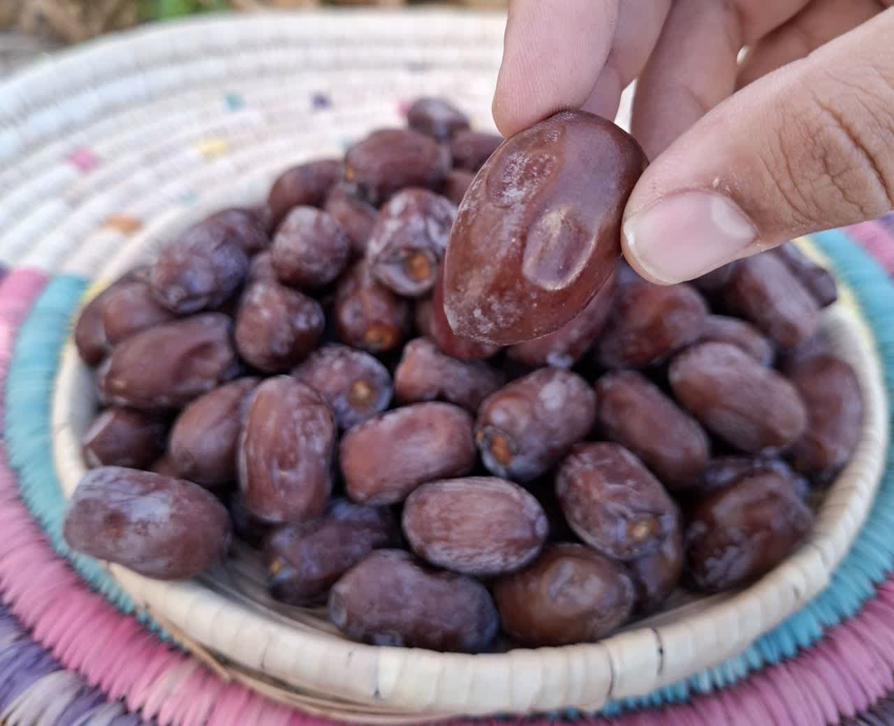 خرما کلوته 5 کیلویی — تصویر ۵