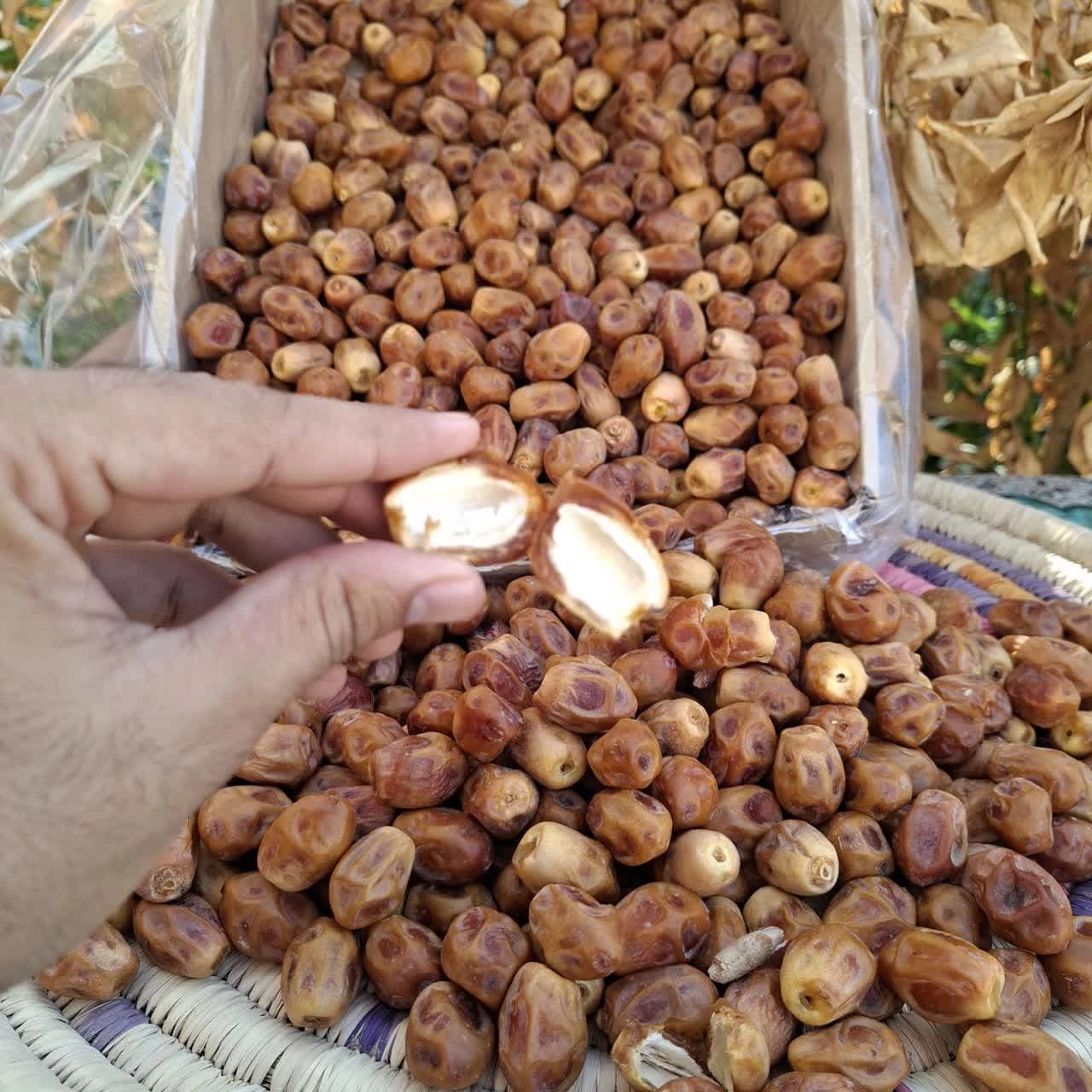 خرما زاهدی قرمز 5کیلویی درجه یک — تصویر ۳