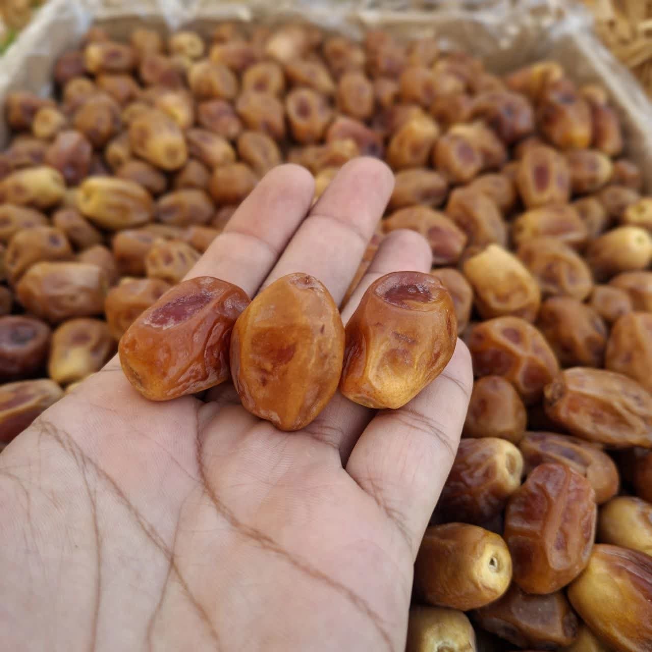 خرما زاهدی قرمز 5کیلویی درجه یک — تصویر ۲