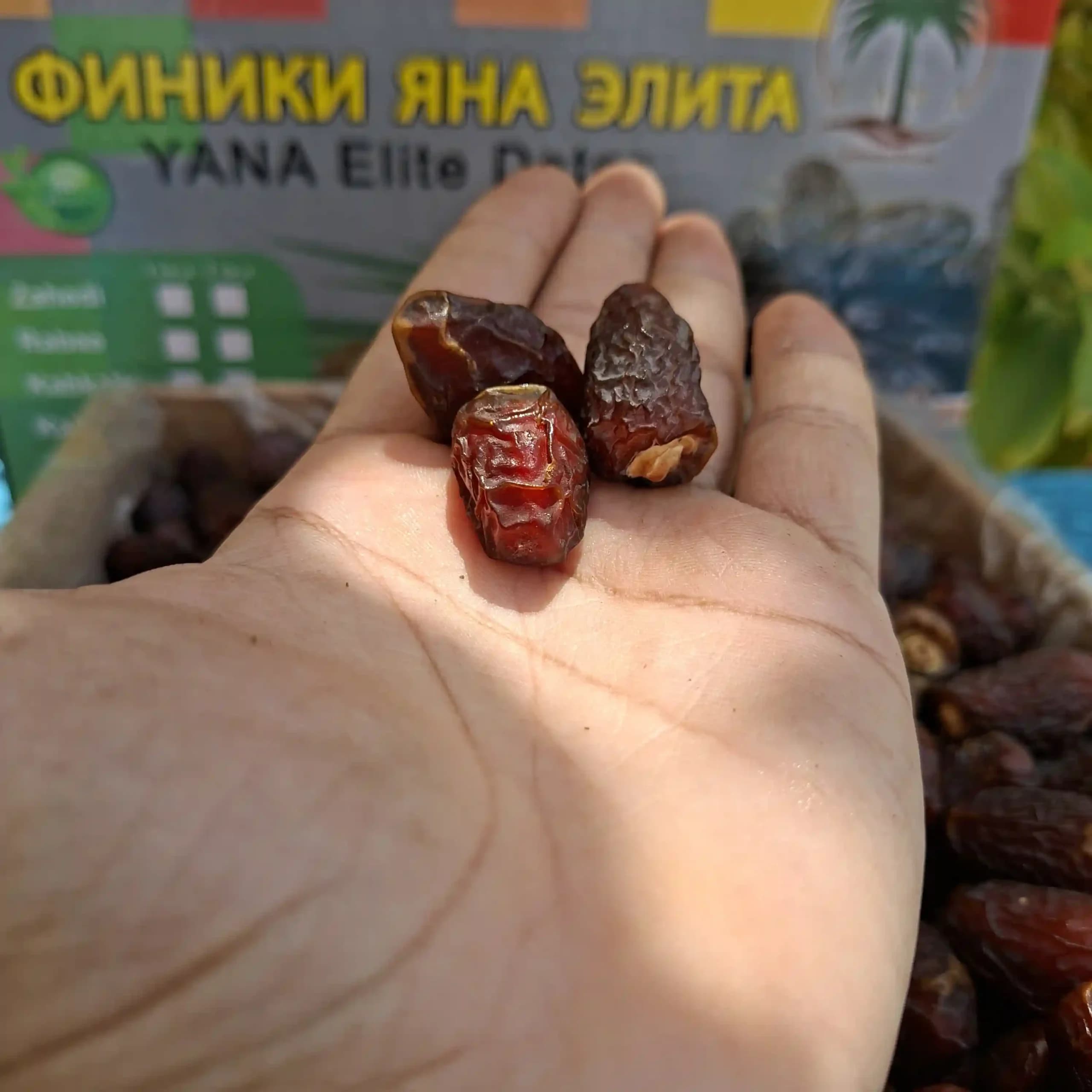 خرما بریمی 1کیلویی آجیلی — تصویر ۷
